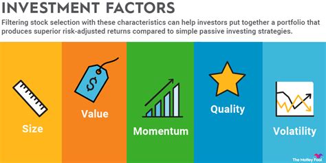  X-Factor Investing: Bir Alman Büyüsünün İçine Yolculuk!